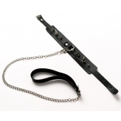 Черный ошейник с шипами и поводком - Crazy Handmade - купить с доставкой в Нефтекамске