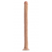 Телесный фаллоимитатор 19 Inch Long Realistic Dildo - 48,3 см. - Blush Novelties