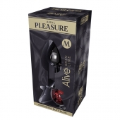 Серебристая анальная втулка Mini Metal Butt Plug Size M с красным кристаллом - Adrien Lastic в Нефтекамске Серебристая анальная втулка Mini Metal Butt Plug Size M с красным кристаллом - Adrien Lastic