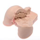 Мастурбатор-полуторс Naked Factory Kate - Naked Factory - в Нефтекамске купить с доставкой