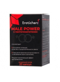 Капсулы для мужчин Erotichard male power с пантогематогеном - 20 капсул (0,370 гр.) - Erotic Hard - купить с доставкой в Нефтекамске