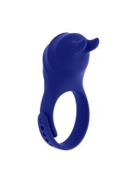 Синее эрекционное виброкольцо с клиторальной подушечкой и пультом ДУ Adjustable Fun Ring - Zero Tolerance - в Нефтекамске купить с доставкой