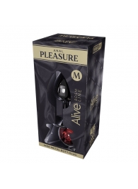 Серебристая анальная втулка Mini Metal Butt Plug Size M с красным кристаллом - Adrien Lastic в Нефтекамске Серебристая анальная втулка Mini Metal Butt Plug Size M с красным кристаллом - Adrien Lastic
