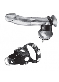 Утяжка для мошонки и пениса Cock Ring With 1  Ball Stretcher And Optional Weight Ring - BlueLine - купить с доставкой в Нефтекамске