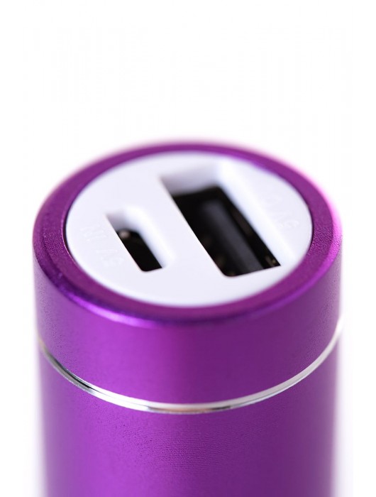 Портативное зарядное устройство A-toys 2400 mAh microUSB - A-toys - купить с доставкой в Нефтекамске