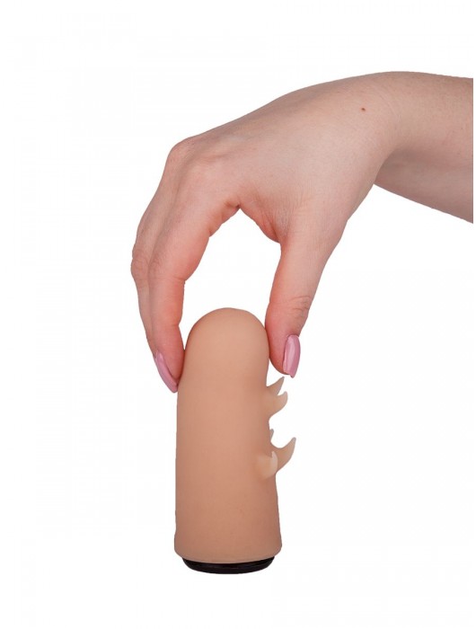 Черный пояс-трусики с двумя насадками  Экзотик-Sara  - 16,5 и 11 см. - LOVETOY (А-Полимер) - купить с доставкой в Нефтекамске