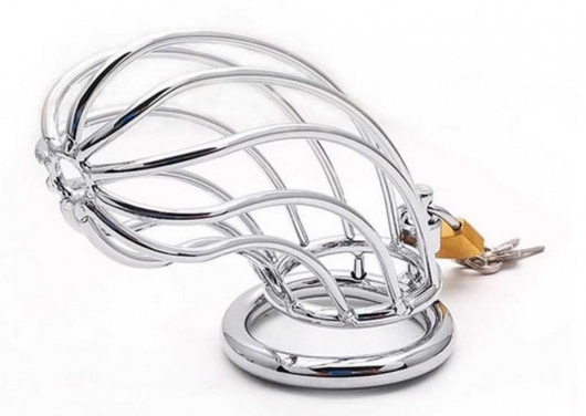 Серебристый мужской пояс верности в виде клетки с замочком - Rubber Tech Ltd - купить с доставкой в Нефтекамске