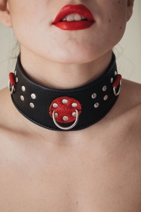 Кожаный ошейник с клепками и кольцами - БДСМ Арсенал - купить с доставкой в Нефтекамске