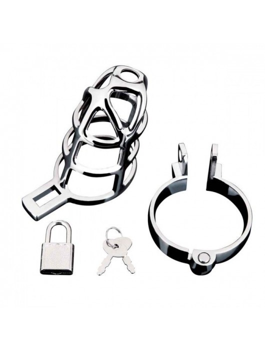 Серебристая металлическая клетка для члена с замком Enslave Cock Cage - BlueLine - купить с доставкой в Нефтекамске