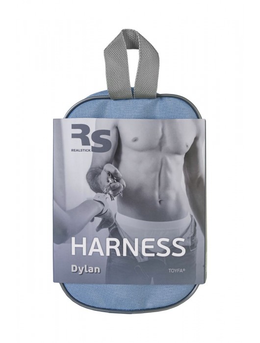 Трусики для страпона Dylan с 2 способами крепления насадки - ToyFa - купить с доставкой в Нефтекамске