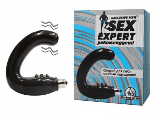 Чёрный массажёр простаты серии Sex Expert - Sex Expert - в Нефтекамске купить с доставкой