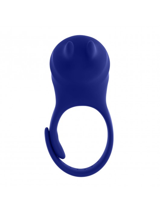 Синее эрекционное виброкольцо с клиторальной подушечкой и пультом ДУ Adjustable Fun Ring - Zero Tolerance - в Нефтекамске купить с доставкой