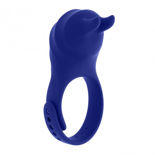 Синее эрекционное виброкольцо с клиторальной подушечкой и пультом ДУ Adjustable Fun Ring - Zero Tolerance - в Нефтекамске купить с доставкой
