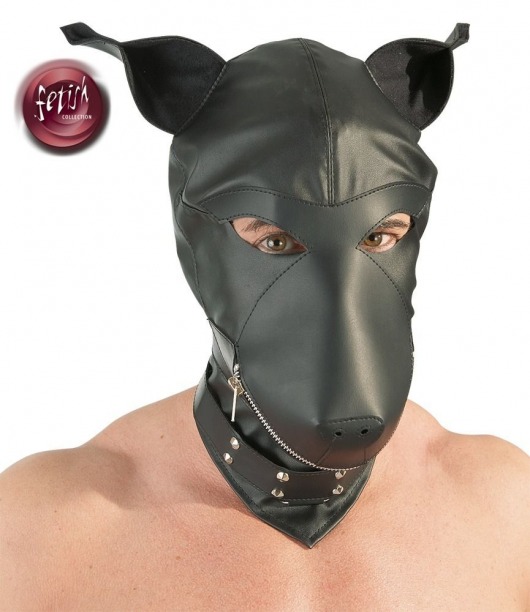 Шлем-маска Dog Mask в виде морды собаки - Orion - купить с доставкой в Нефтекамске