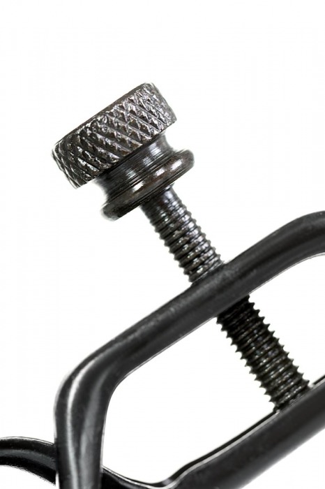 Черно-золотистые зажимы для сосков TOYFA Theatre - ToyFa - купить с доставкой в Нефтекамске