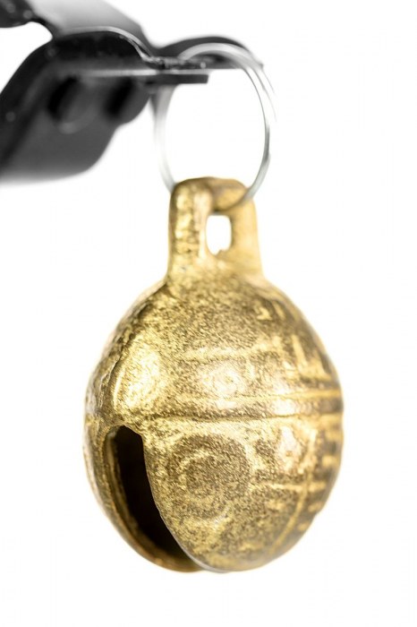 Черно-золотистые зажимы для сосков TOYFA Theatre - ToyFa - купить с доставкой в Нефтекамске