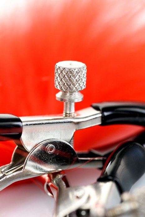 Зажимы для сосков с красным пухом Theatre - ToyFa - купить с доставкой в Нефтекамске