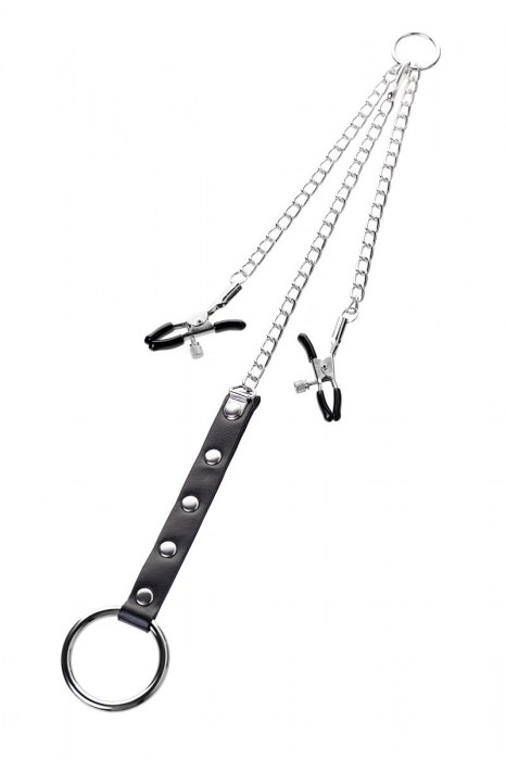 Серебристо-чёрные зажимы для сосков с кольцом для пениса TOYFA Metal - ToyFa - купить с доставкой в Нефтекамске