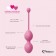 Набор из 3 розовых вагинальных шариков FemmeFit Advanced Pelvic Muscle Training Set - FeelzToys в Нефтекамске Набор из 3 розовых вагинальных шариков FemmeFit Advanced Pelvic Muscle Training Set - FeelzToys