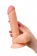 Телесный фаллоимитатор Lorn - 20 см. - ToyFa купить с доставкой в интернет-магазине Orgasmix в Нефтекамске Телесный фаллоимитатор Lorn - 20 см. - ToyFa